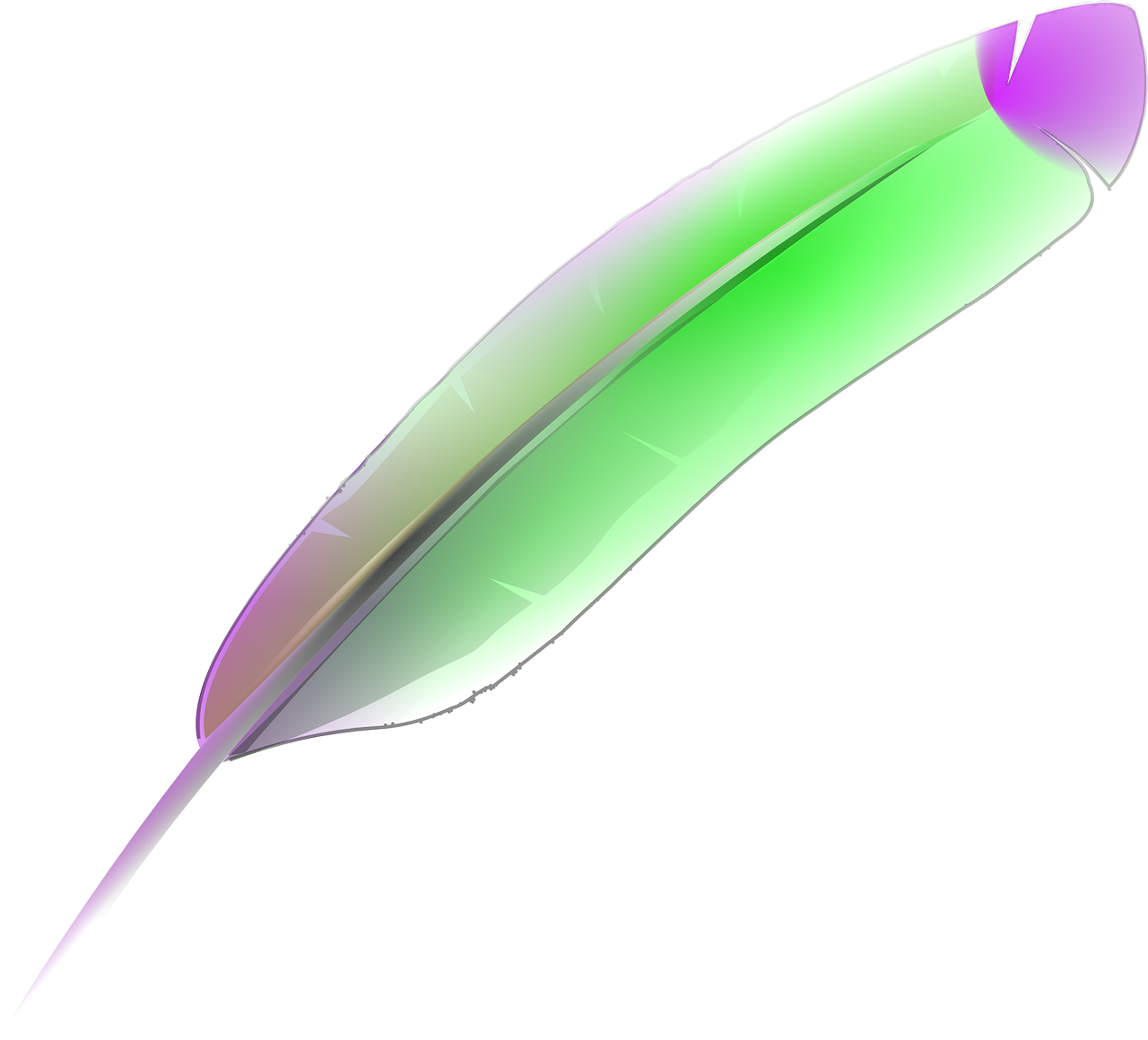 feather by OpenClipart-Vectors pixabay